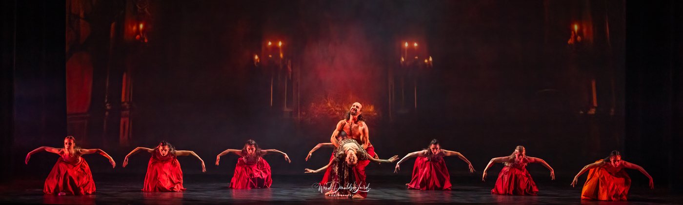 Projection design gallery image
