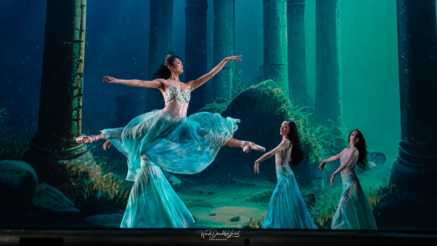 Projection design gallery image